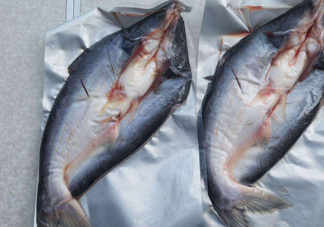 巴沙魚到底能不能吃？吃巴沙魚有什么危害嗎