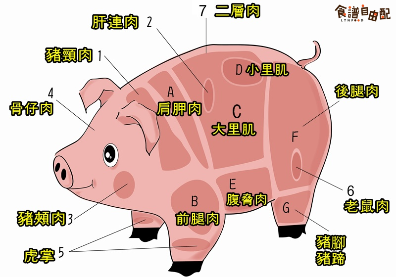 豬各部位肉的名稱圖片全解